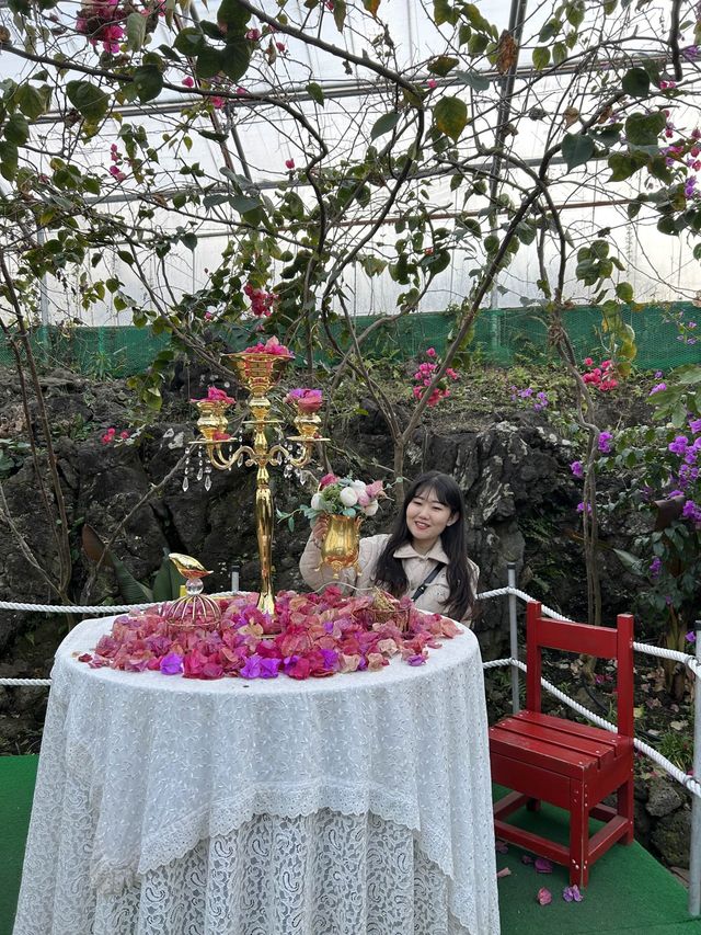 포토존이 가득한 제주 핫플레이스✨