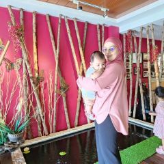 Medina Thai Palace Alor Setar User Photo