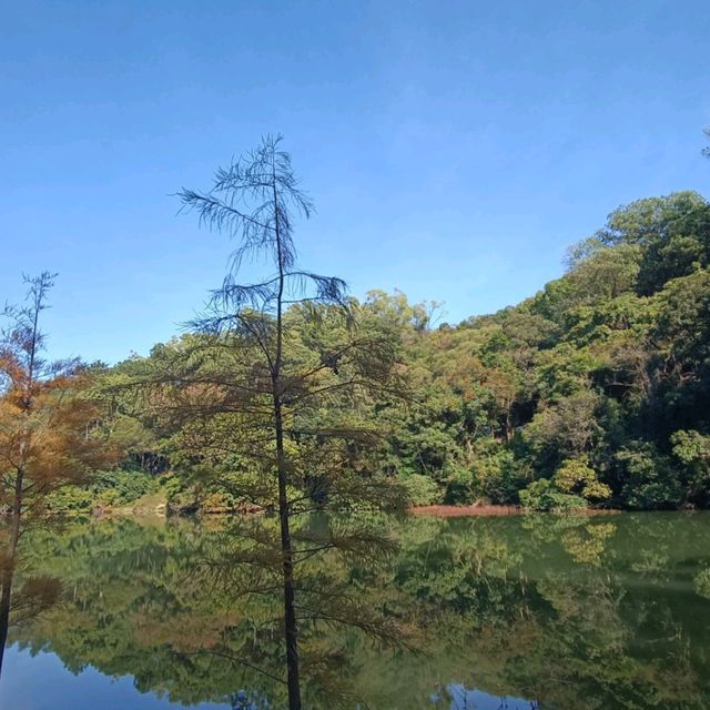 粉嶺郊遊