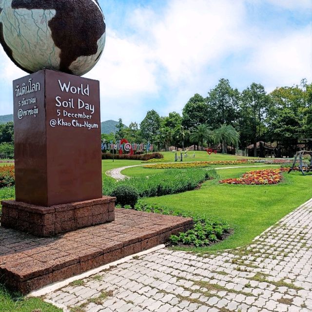 ดอกทานตะวันบานโครงการพระราชดำริ เขาชะงุ้ม ราชบุรี