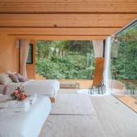 🌿 บ้านกล่องกระจกใส หนึ่งเดียวกลางป่า