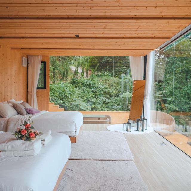 🌿 บ้านกล่องกระจกใส หนึ่งเดียวกลางป่า 🌿 บ้านกล่องกระจกใส หนึ่งเดียวกลางป่า