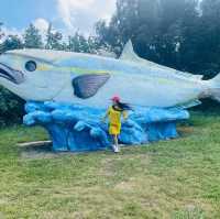 Nanliao Fishing Harbor-Hsinchu City, Taiwan