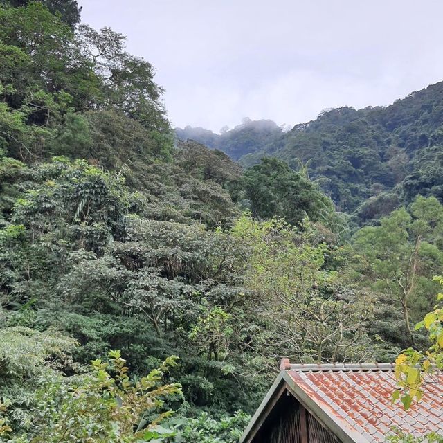 新店二趴子植物園