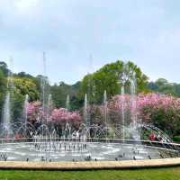 Romantic Flower Park at Yangmingshan