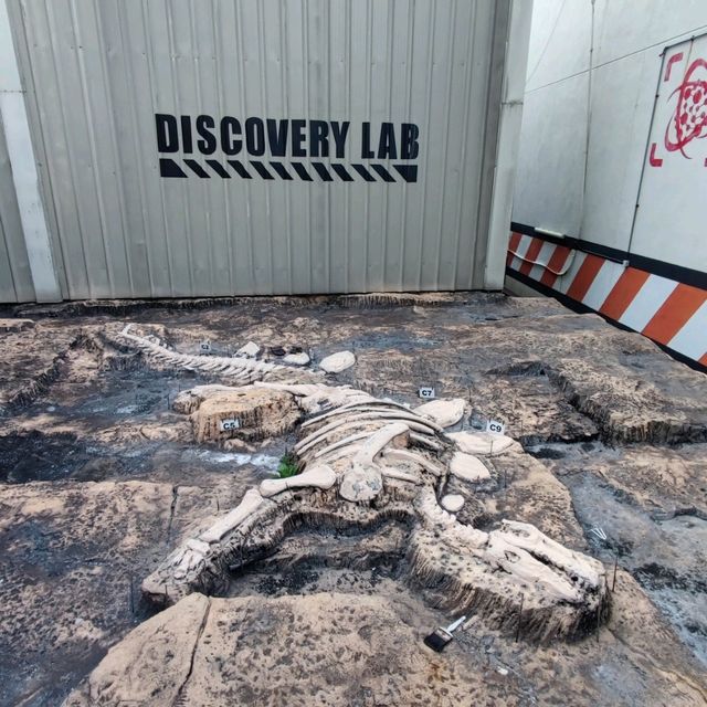 Dinosaurs in Georgetown 