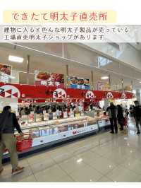 【静岡】めんたいパーク伊豆と周辺観光