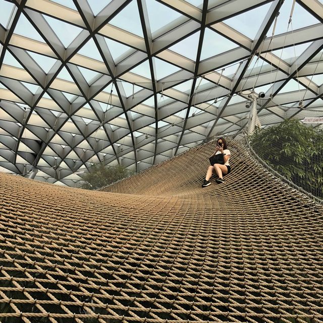 We have so much fun @ Jewel Canopy Park