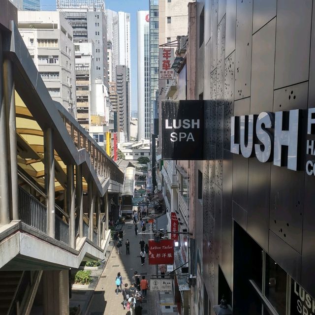 乘上開往春天的半山扶手電梯
