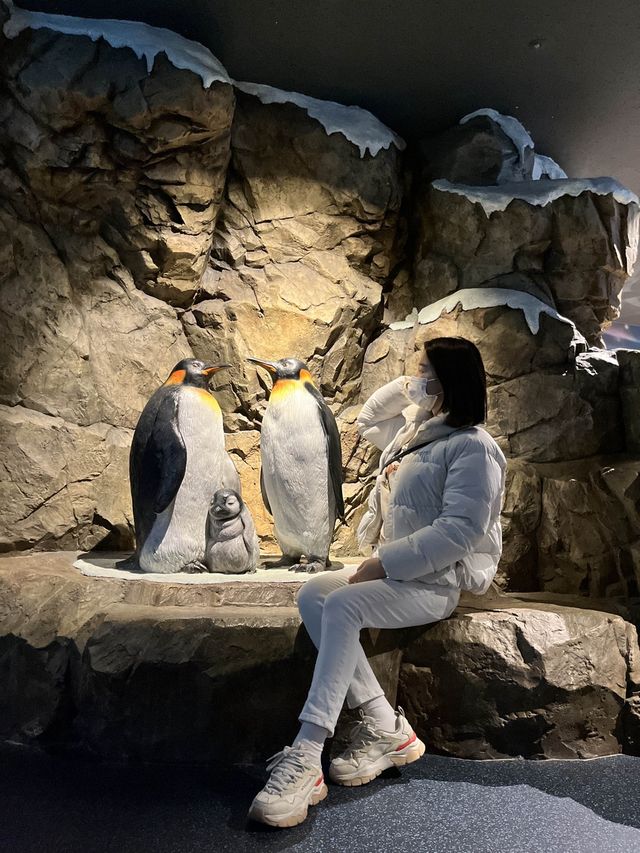 수원 광교 실내데이트 장소🧜🏻‍♀️