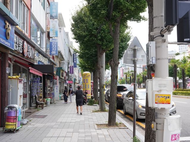 Yeosu City & Fish Market,South Korea (1)
