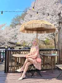 인정할 수 밖에 없는 용인 벚꽃뷰 카페 🌸