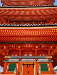 🇯🇵｜Kyoto One-day Tour with kimono