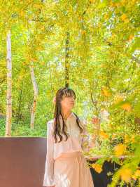 🌿5월 꼭 가봐야할 대구•경주 여행지🌸