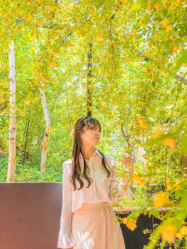 🌿5월 꼭 가봐야할 대구•경주 여행지🌸