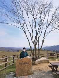 바람이 어마무시! 평창 대관령 삼양목장🐏