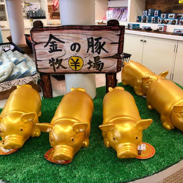 伊豆急行終點站👍🏻鄉村半日遊❤️伊豆半島美景😍😍下田市