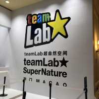 [澳門 Team Lab] 大人 細路都岩玩