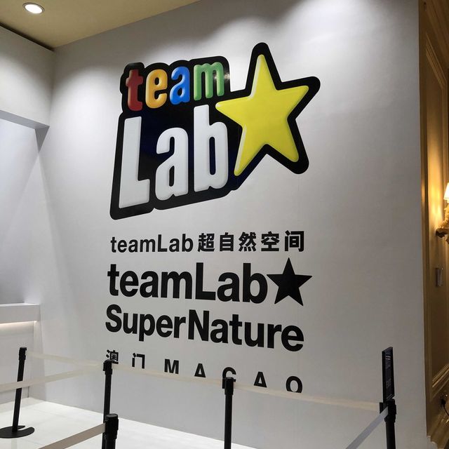 [澳門 Team Lab] 大人 細路都岩玩