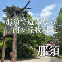【栃木】那須高原で遊ぶなら南ヶ丘牧場