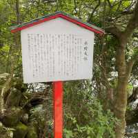 九頭龍神社　本宮