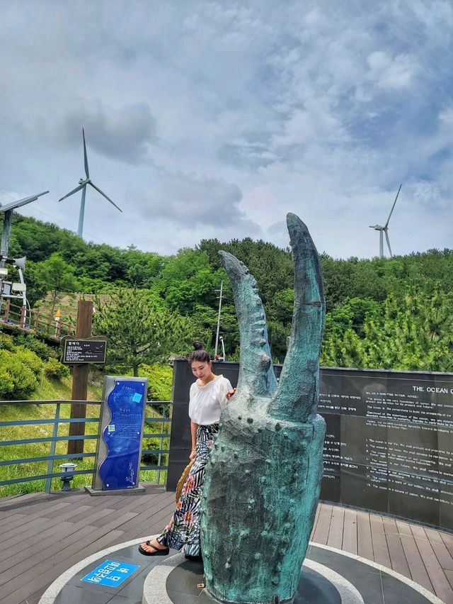 영덕 블루로드 따라 해맞이공원까지🩵