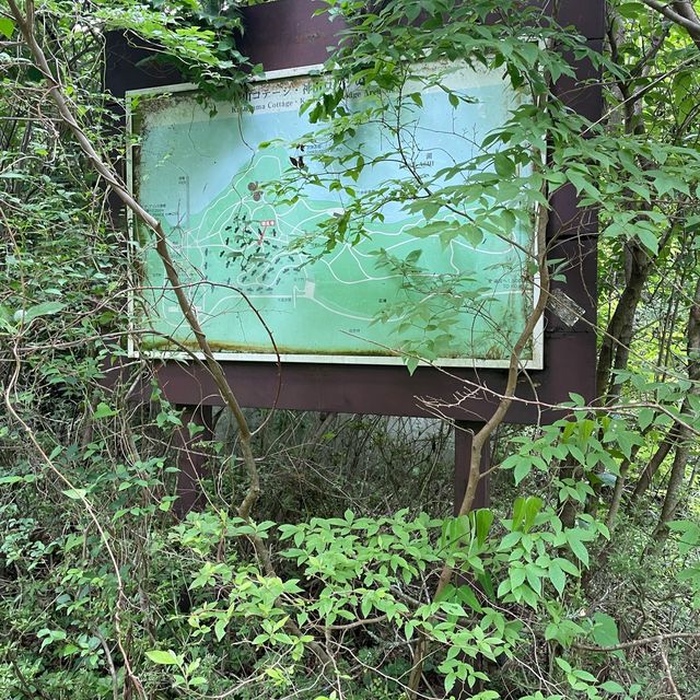 箱根九頭龍の森 