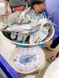 ตลาดทะเลสด พื้นบ้าน หาดจอมเทียน พัทยา