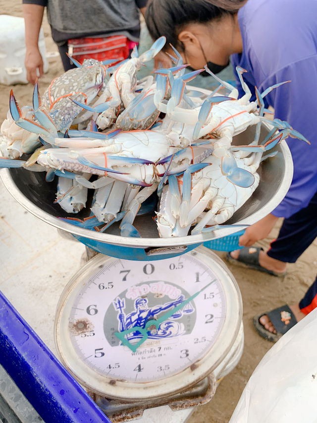 ตลาดทะเลสด พื้นบ้าน หาดจอมเทียน พัทยา