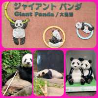 東京人氣動物園🐅🐘🐐🐼🐼