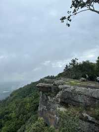 “ฮ่มหมอก บอกฮัก”อุทยานแห่งชาติภูแลนคา🌫️