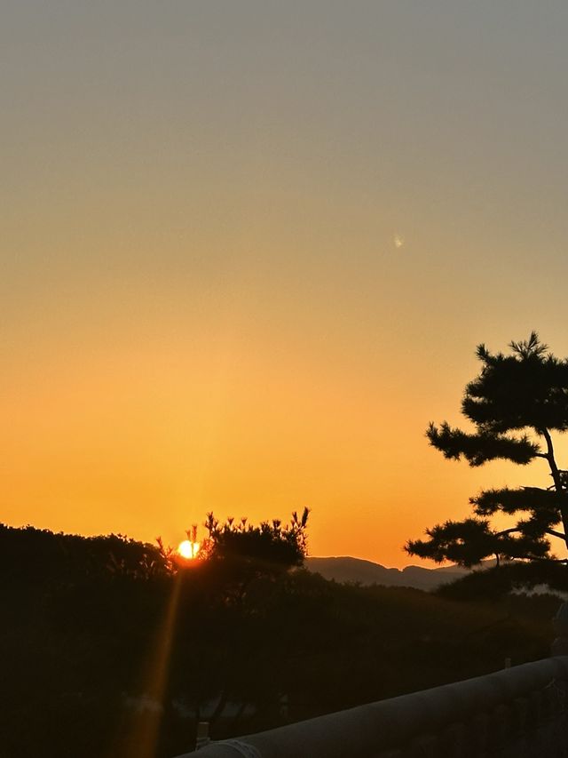 주말동안 힐링하고 올 수 있는 법륜사 템플스테이🙏🏻