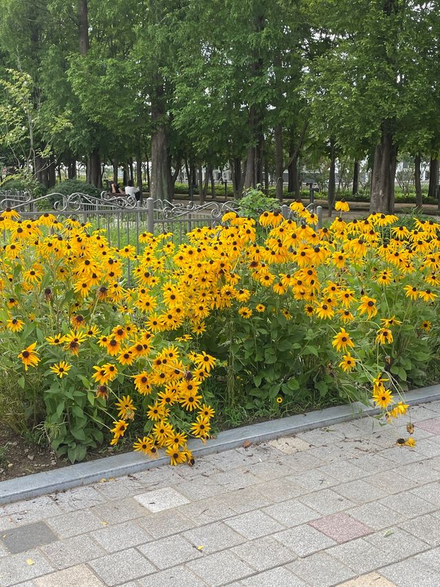 힐링되는 공간 “경주 산림환경연구원” 천년의 숲