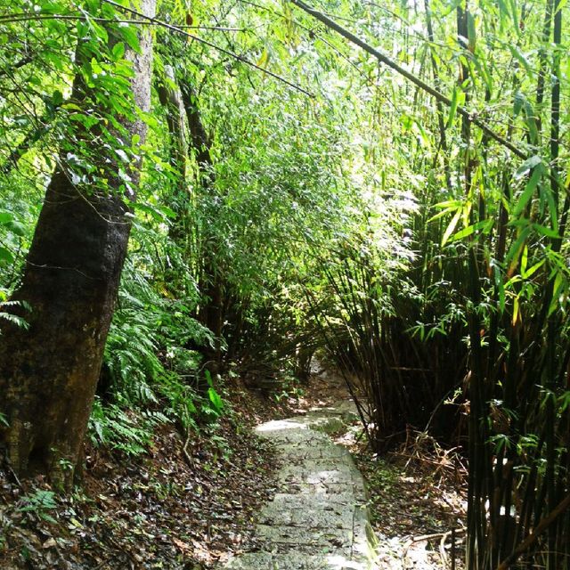 祕境溪流古道 ~ 狗慇勤古道