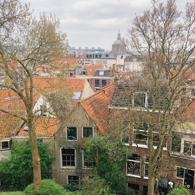 荷蘭🇳🇱萊頓🔰⚜️🔱 Burcht van Leiden 上層景觀篇