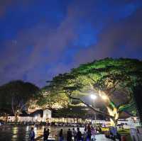 A famous Cat City in Malaysia 