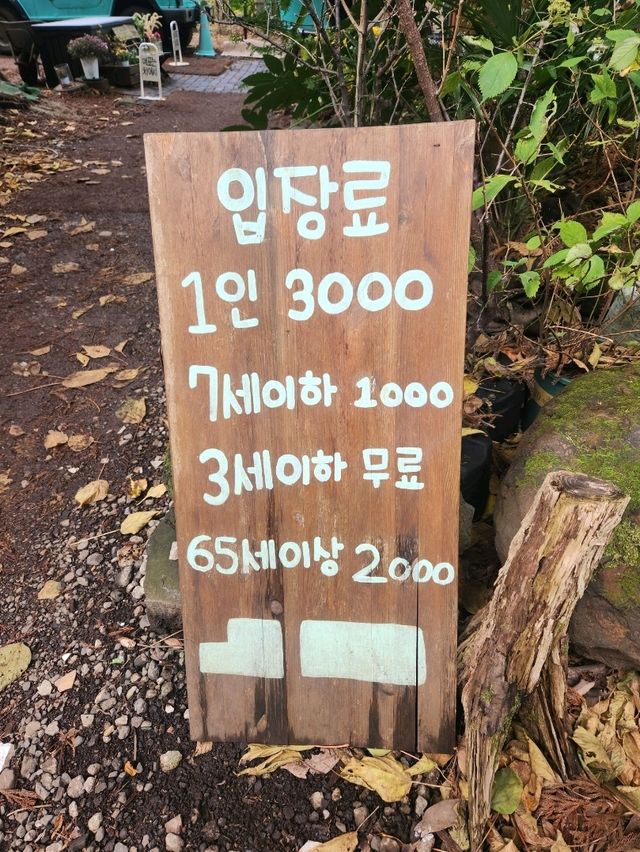 🌳제주 동쪽여행 걷기 좋은 숲길, "비밀의숲"🌳
