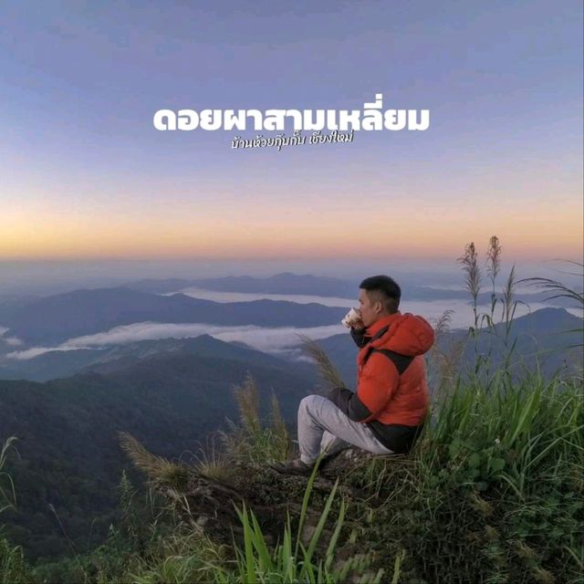 ดอยผาสามเหลี่ยม ณ บ้านห้วยกุ๊บกั๊บ จ.เชียงใหม่
