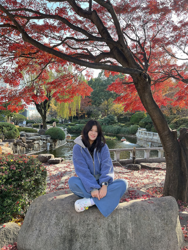 부산 가을의 끝자락을 느낄 수 있는 곳