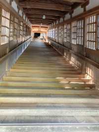 【福井】5枚の動物を見つけると願いが叶う！？永平寺傘松閣の天井絵