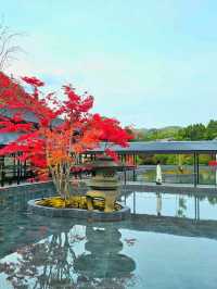 【京都/ラグジュアリーホテル】1度泊まってみたい❗超〞贅沢💎宿泊しなくても訪れる裏ワザ㊙️😳