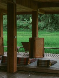 🌳" ค ว า ม ส ง บ = ค ว า ม สุ ข "❤️