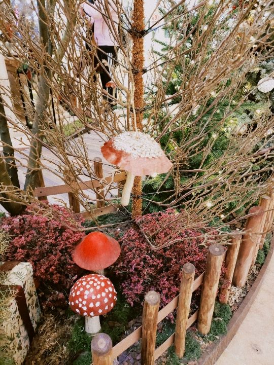 🎄太古廣場🎄奇幻森林