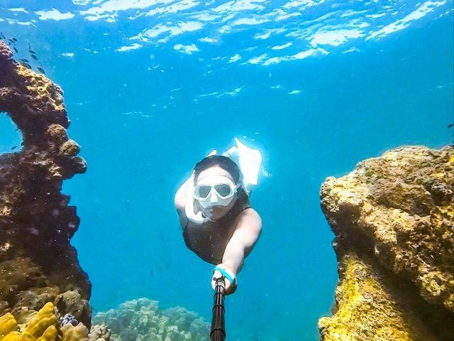 ดำน้ำ3เกาะระยองน้ำใสมาก​🌊มันนอก​ มันใน​เกาะทะลุ