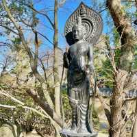 Shofukuji Serenity: Timeless Tranquility
