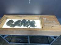  Houtong Coal Mine Ecological Park