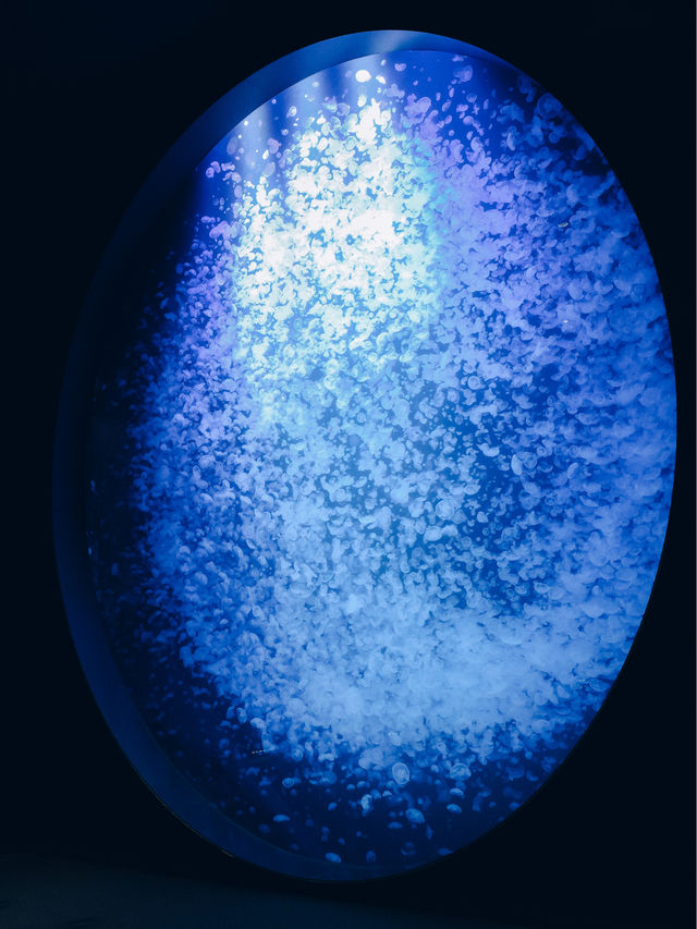 【山形】世界一のクラゲ水族館🪼幻想的なクラゲドリームシアター🌌