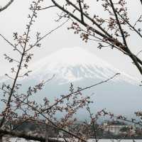 View of Mount Fuji 