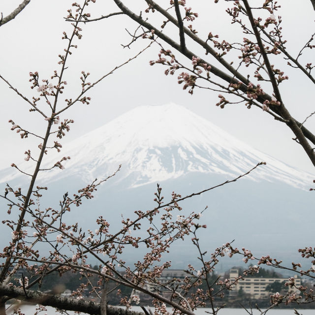 View of Mount Fuji 