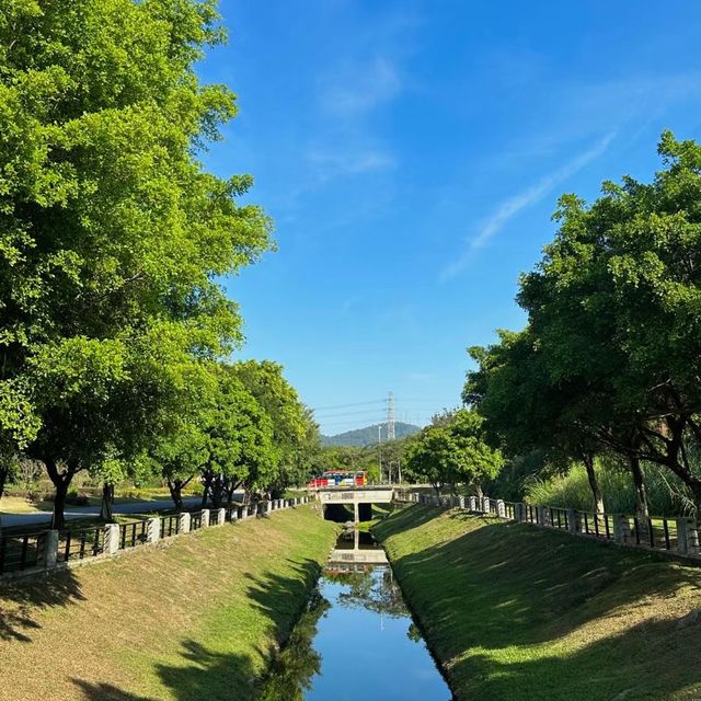 綠水漫遊😌西塘公園